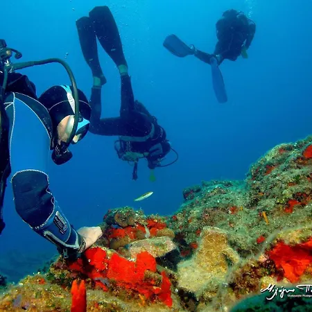 Romantic 2 Space With Seaview And Sunset Apartment *